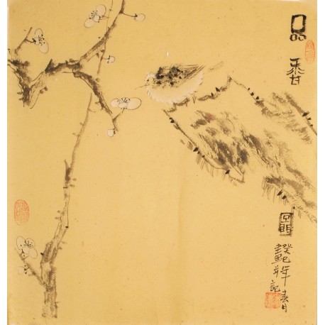 Plum - CNAG006195
