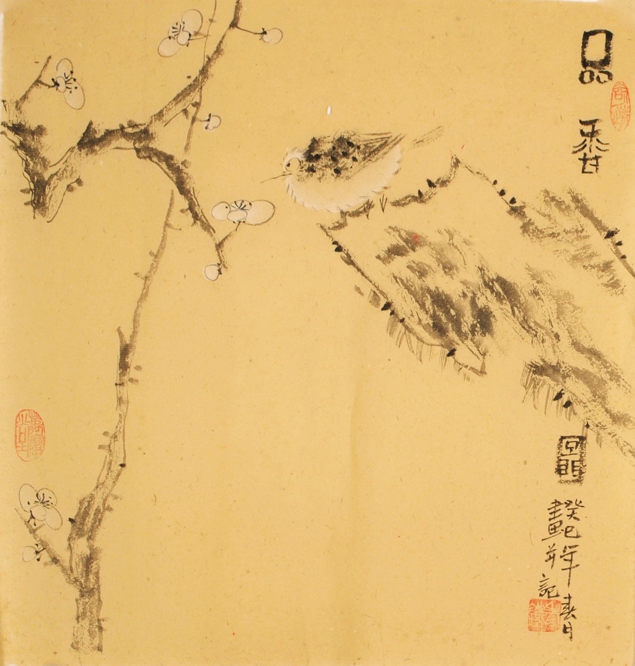 Plum - CNAG006195