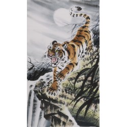 Tiger - CNAG000062