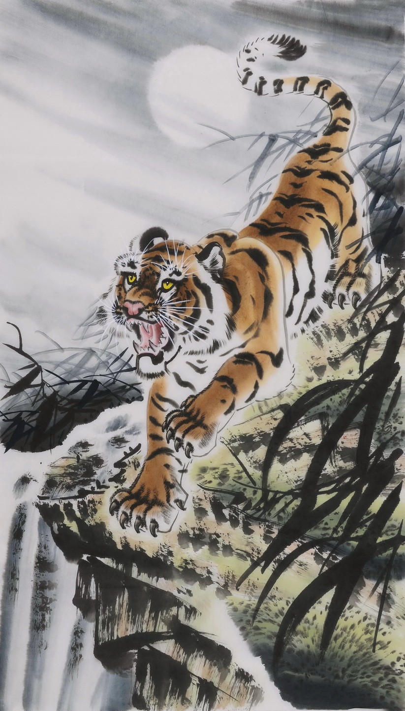 Tiger - CNAG000062
