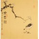 Plum - CNAG006196