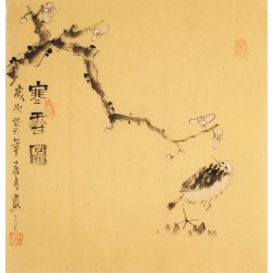 Plum - CNAG006196