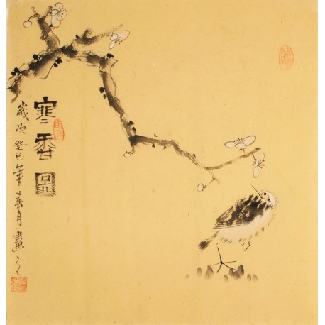 Plum - CNAG006196