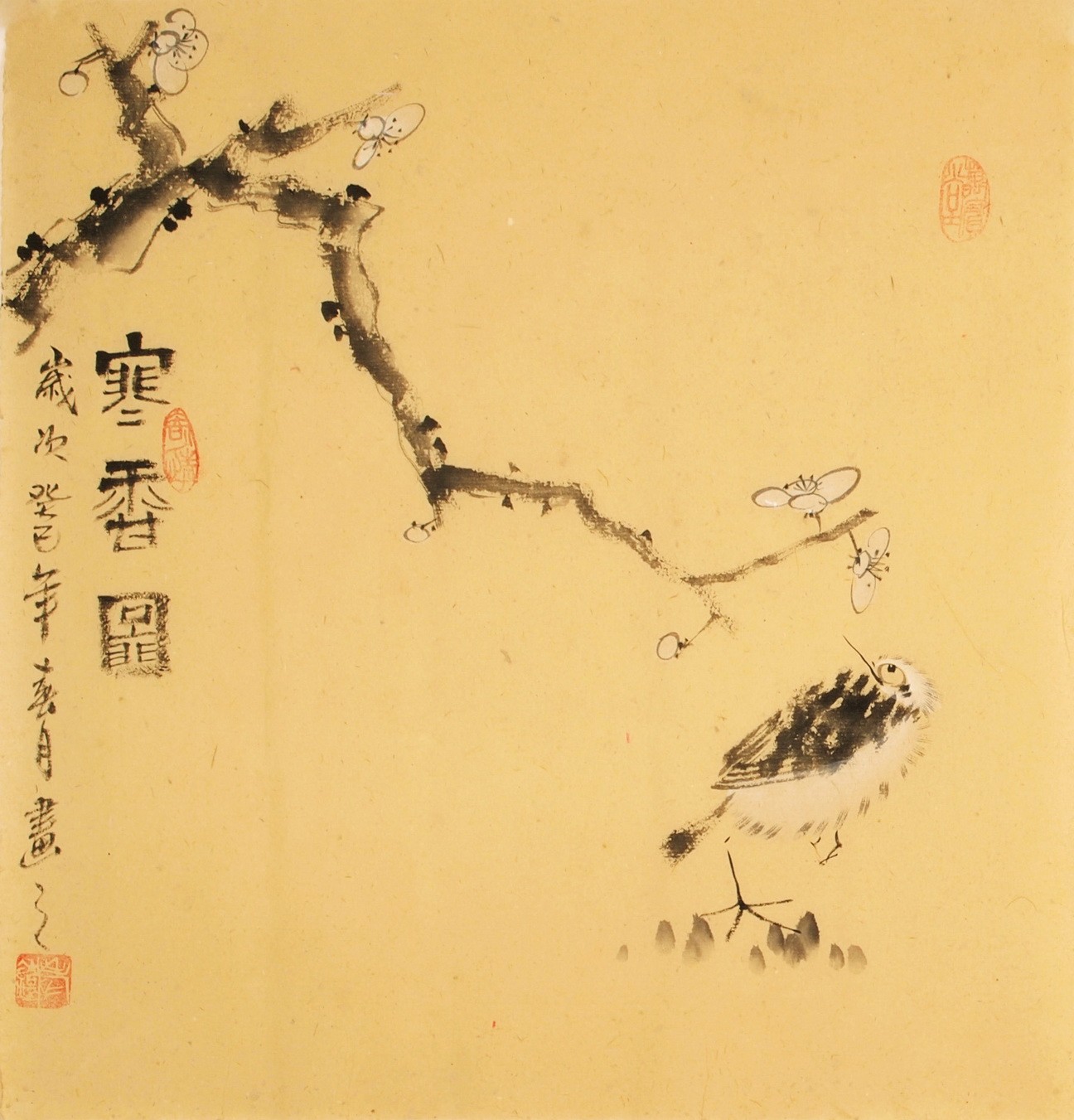 Plum - CNAG006196
