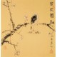 Plum - CNAG006197