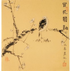 Plum - CNAG006197