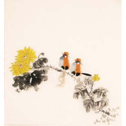 Chrysanthemum - CNAG006203
