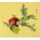 Other Birds - CNAG006207