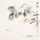 Fish - CNAG006208