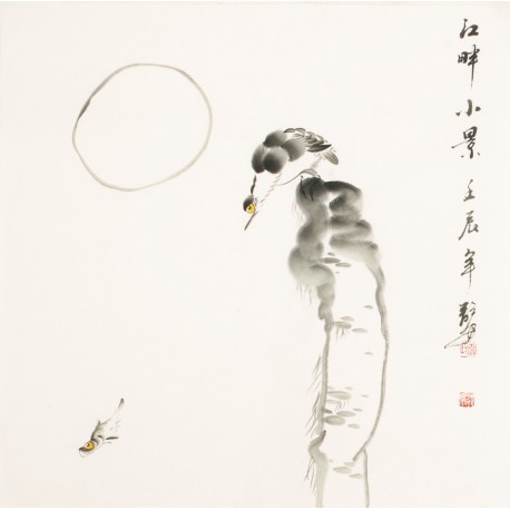 Fish - CNAG006213