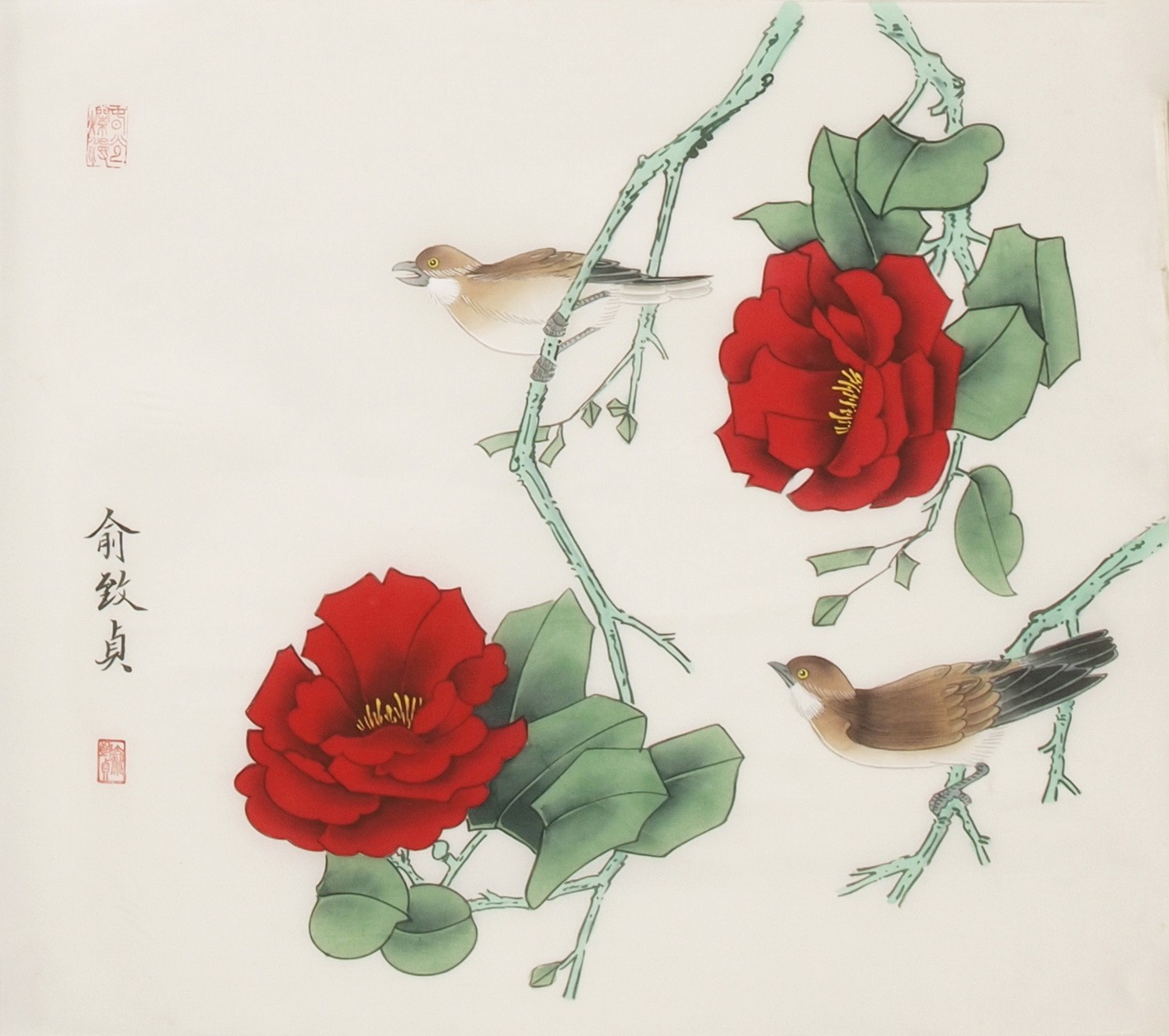 Other Birds - CNAG006222