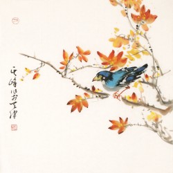 Other Birds - CNAG006223