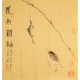 Fish - CNAG006228