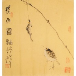 Fish - CNAG006228