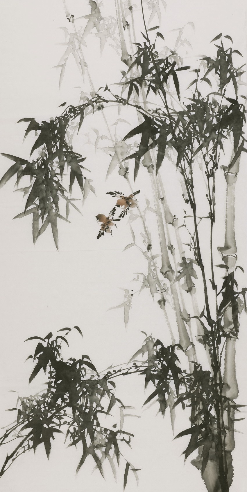 Ink Bamboo - CNAG000624