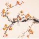 Plum - CNAG006236