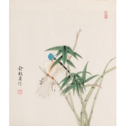 Bamboo - CNAG006248