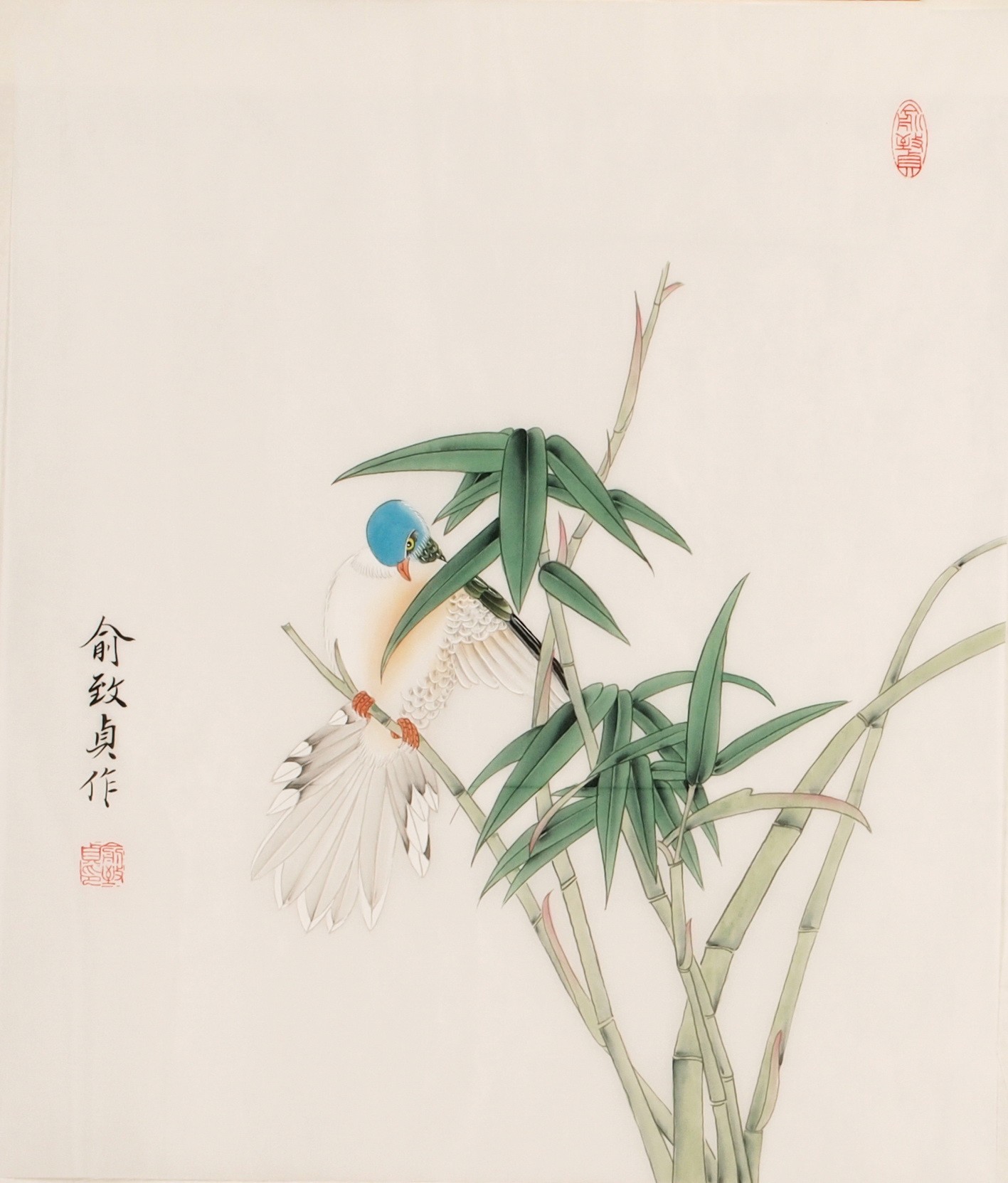 Bamboo - CNAG006248