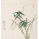 Other Birds - CNAG006250