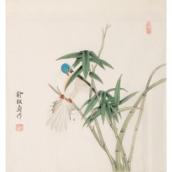 Other Birds - CNAG006250