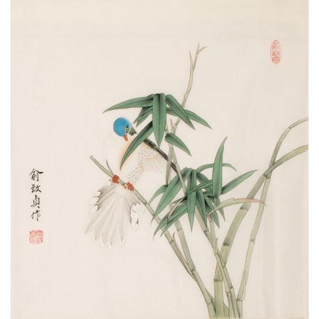Other Birds - CNAG006250