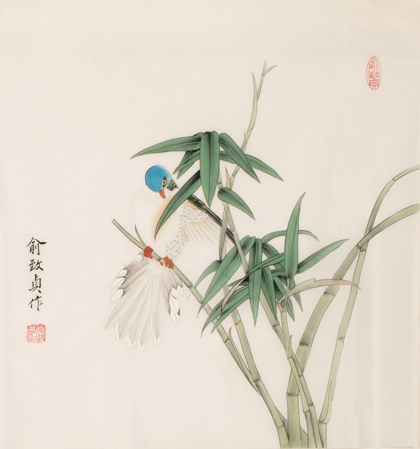 Other Birds - CNAG006250
