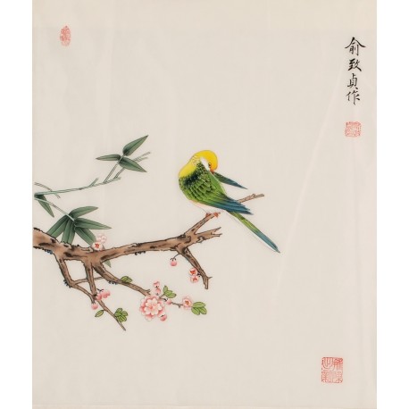 Bamboo - CNAG006251