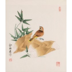 Bamboo - CNAG006253
