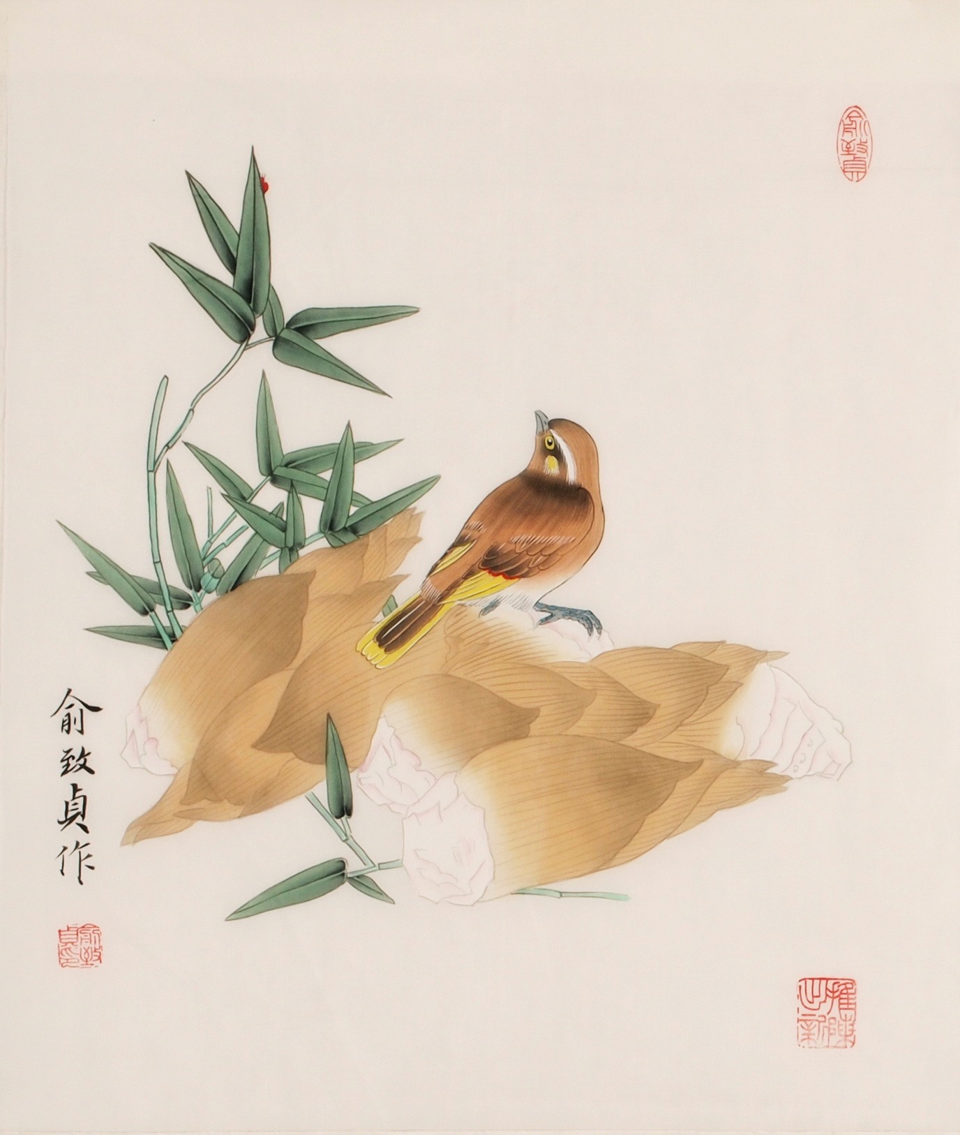Bamboo - CNAG006253