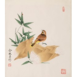 Bamboo - CNAG006254