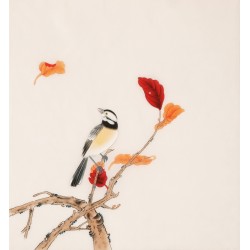 Other Birds - CNAG006259