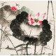 Lotus - CNAG006265