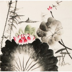 Lotus - CNAG006266