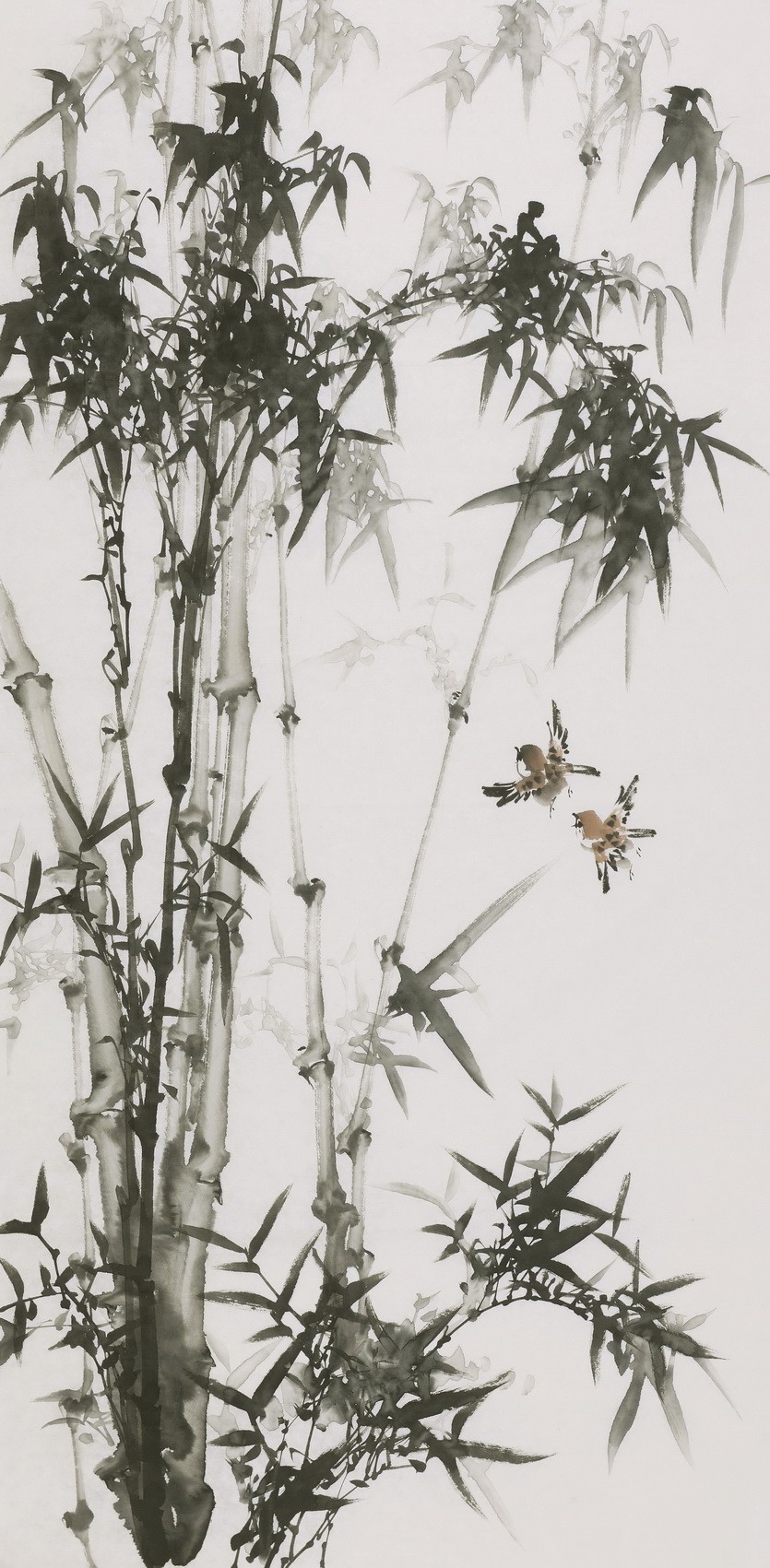 Ink Bamboo - CNAG000628
