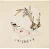 Narcissus - CNAG006287