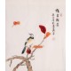 Other Birds - CNAG006292