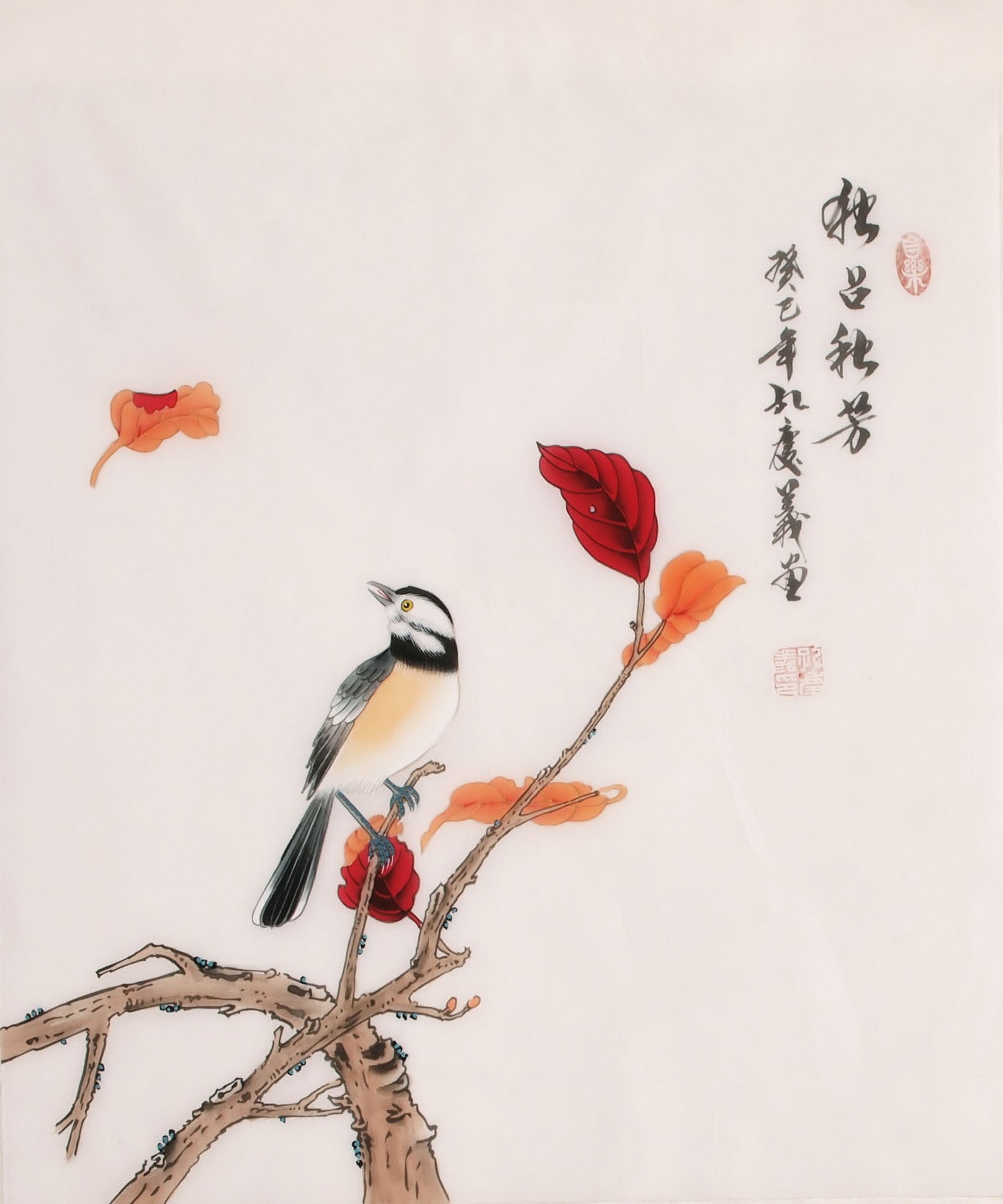 Other Birds - CNAG006293