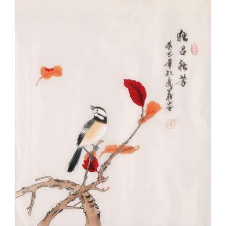 Other Birds - CNAG006296