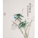 Green Bamboo - CNAG006304
