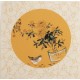 Chrysanthemum - CNAG006305