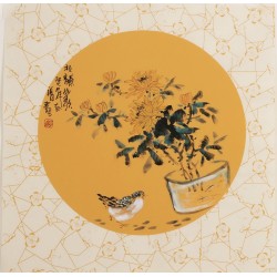 Chrysanthemum - CNAG006305