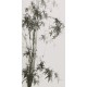 Ink Bamboo - CNAG000631