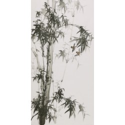 Ink Bamboo - CNAG000631