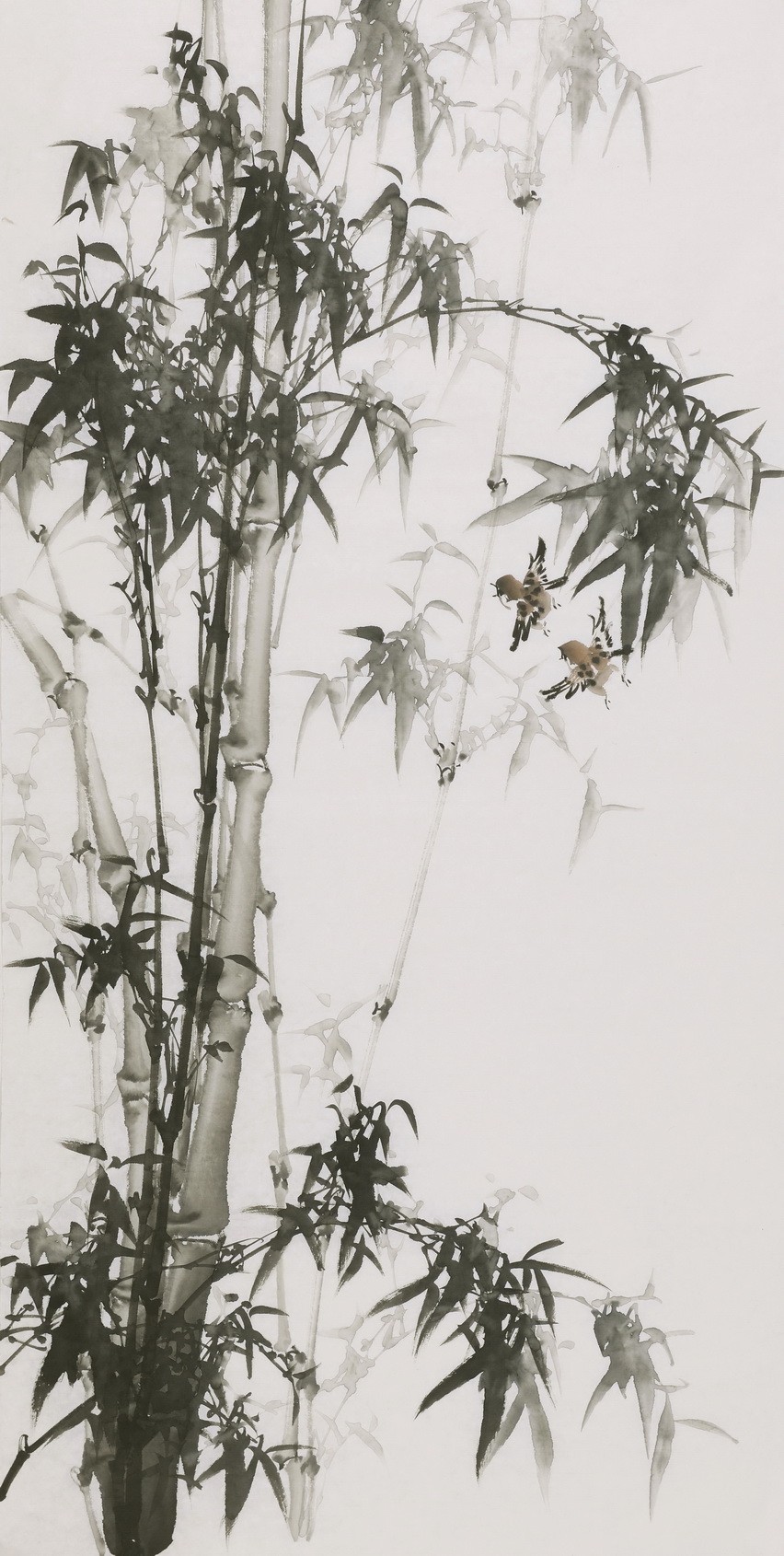 Ink Bamboo - CNAG000631