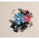 Peony - CNAG006320