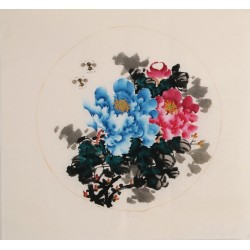 Peony - CNAG006320