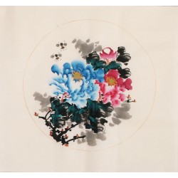 Peony - CNAG006321