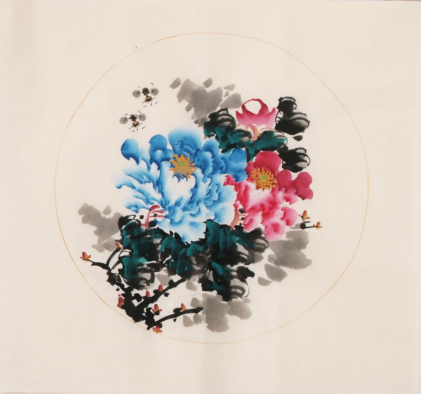 Peony - CNAG006321
