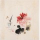 Peony - CNAG006322