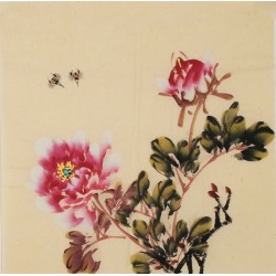 Peony - CNAG006328